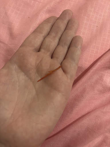 Photo of The Grill Station - 74 Lytham Rd, Blackpool FY1 6DZ